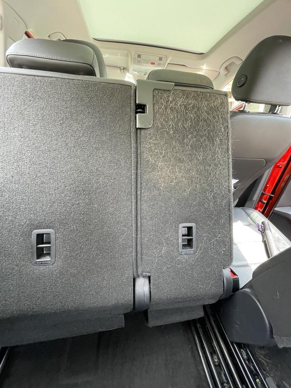Difference of Dog Hair on seat